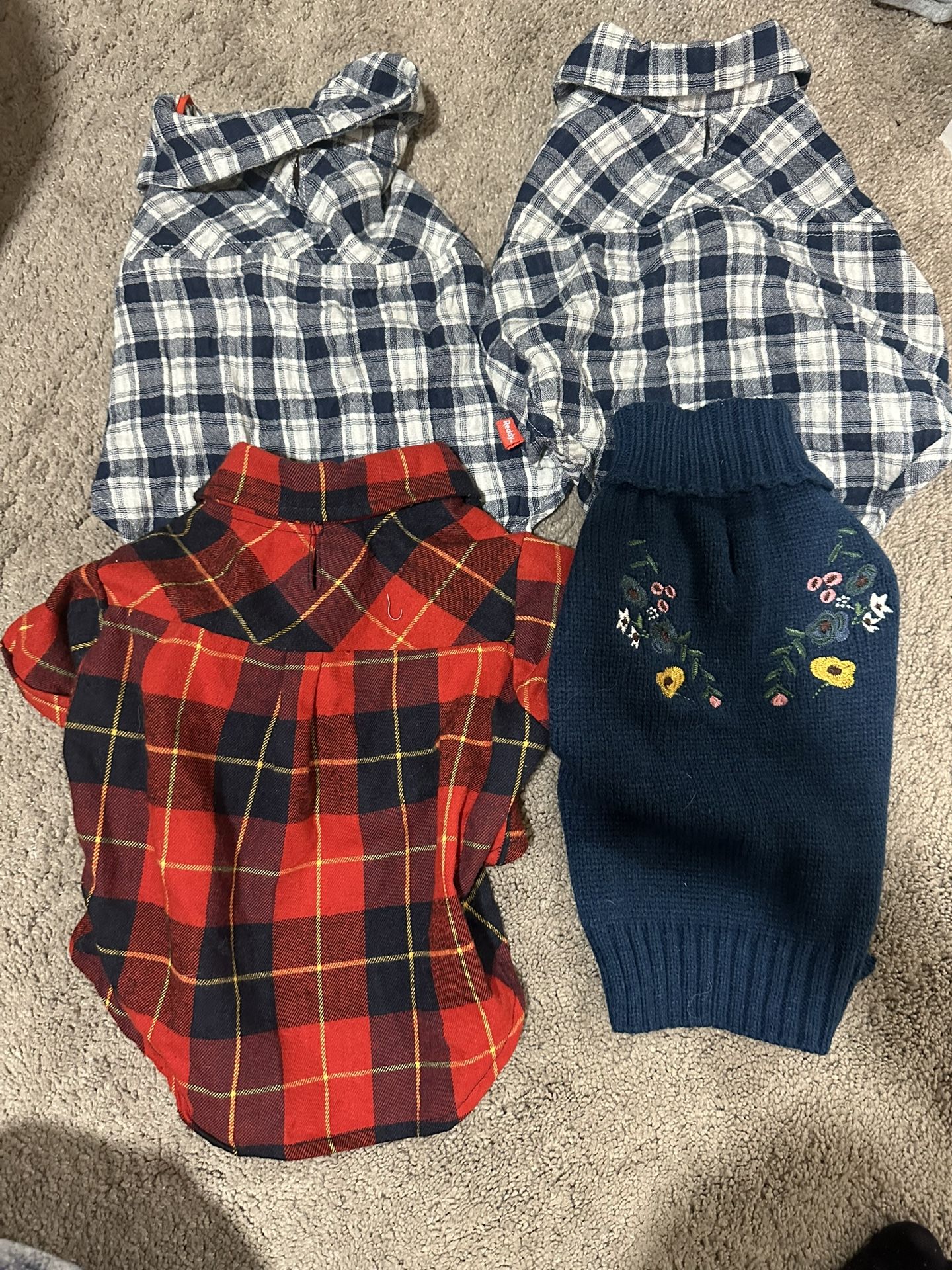 dog clothes and backpacks