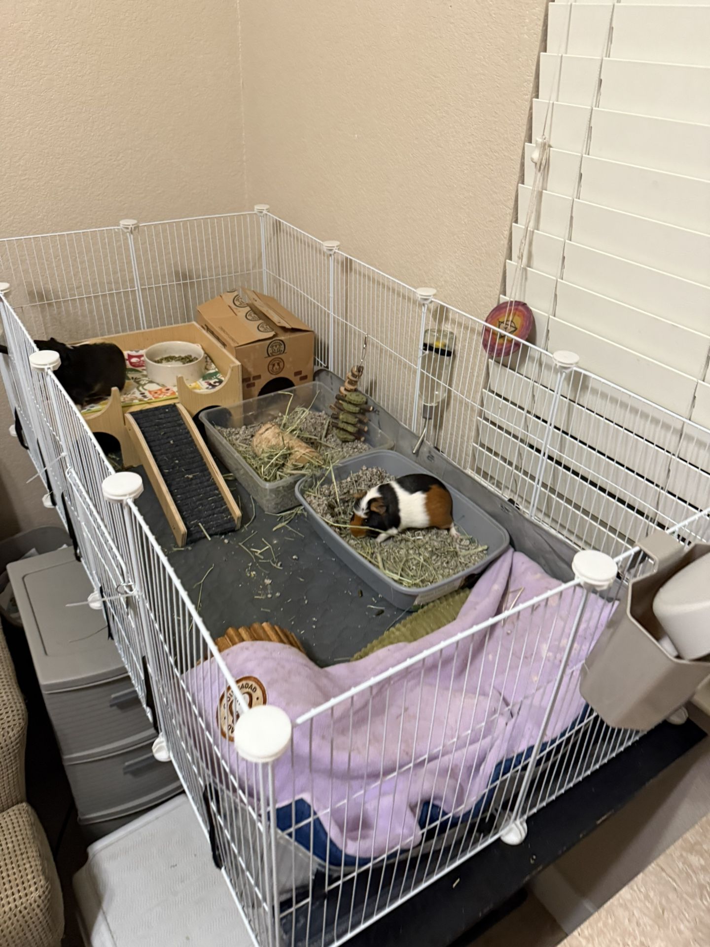 C&C Cage 