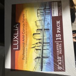 Artist canvas panels