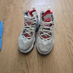 NIKE LEBRON 19 XIX BASKETBALL SHOES 