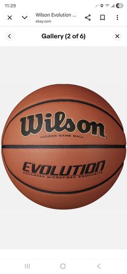 Wilson 29.5" Evolution Basketball