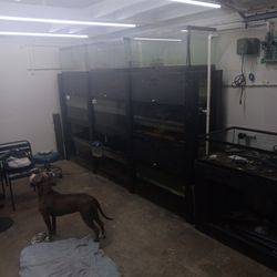 40 Gal Fish Tank Rack