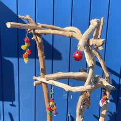 Thick n Curvy Macaw Perch Tree … Artsy Rustic Look And Loved By Gnarly Macaws !❤️
