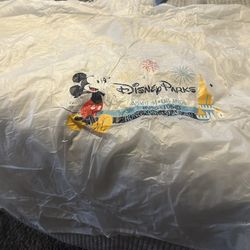 Disney World rain Parade $20 each