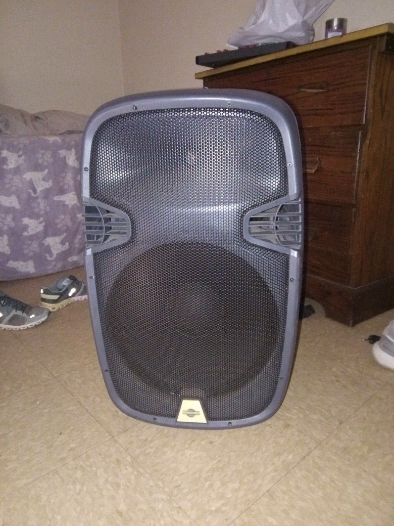 Cedars Link 15in P.A. Speaker 