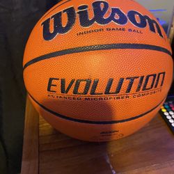 Wilson Evolution  Basketball 