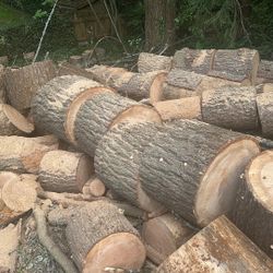 Free Logs For Firewood