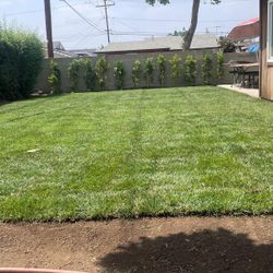 Grass And Sprinklers 