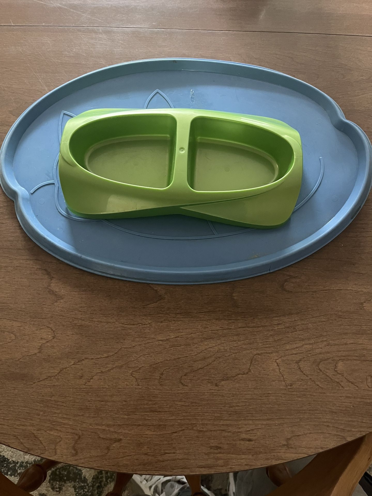 Cat Dish And Food Mat