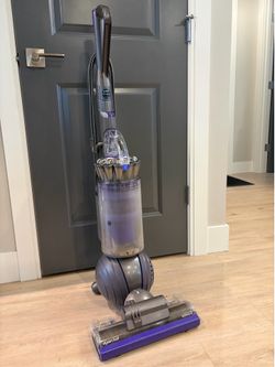 Dyson Animal ball 2