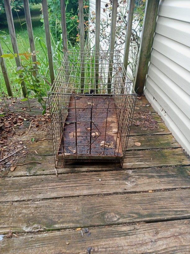 Critter Cage