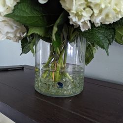 Glass Cylinder Vases 