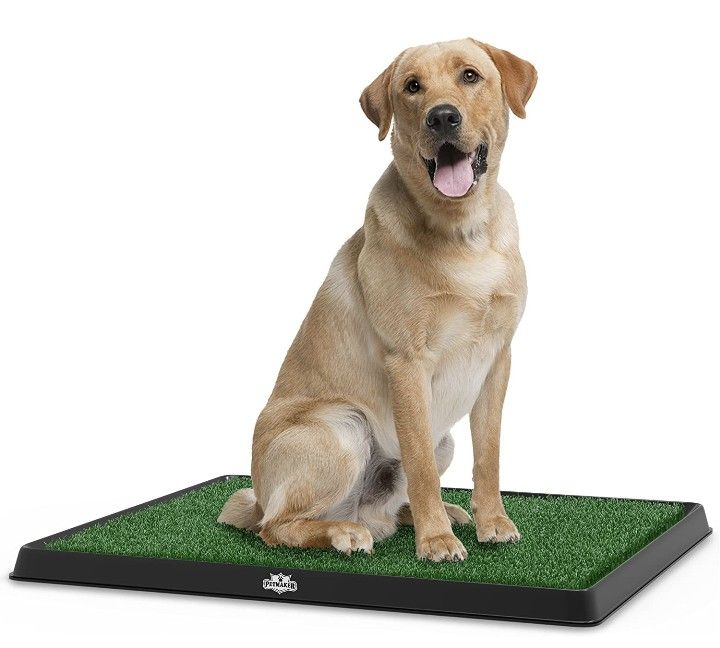 25" X 20" Puppy Pad Artificial Grass - Training