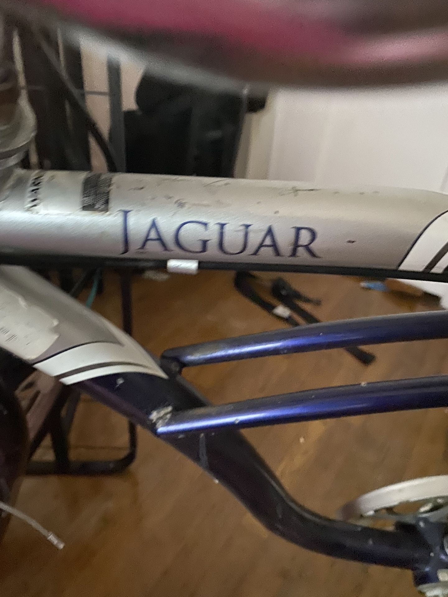 Schwinn  Jaguar Cruisers 