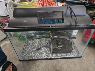 fish tank