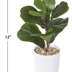 Home Decor Tabletop Potted Greenery Plants Bundle Of 3
