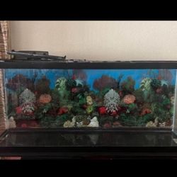 Fish Tank with furniture (50 gallon)