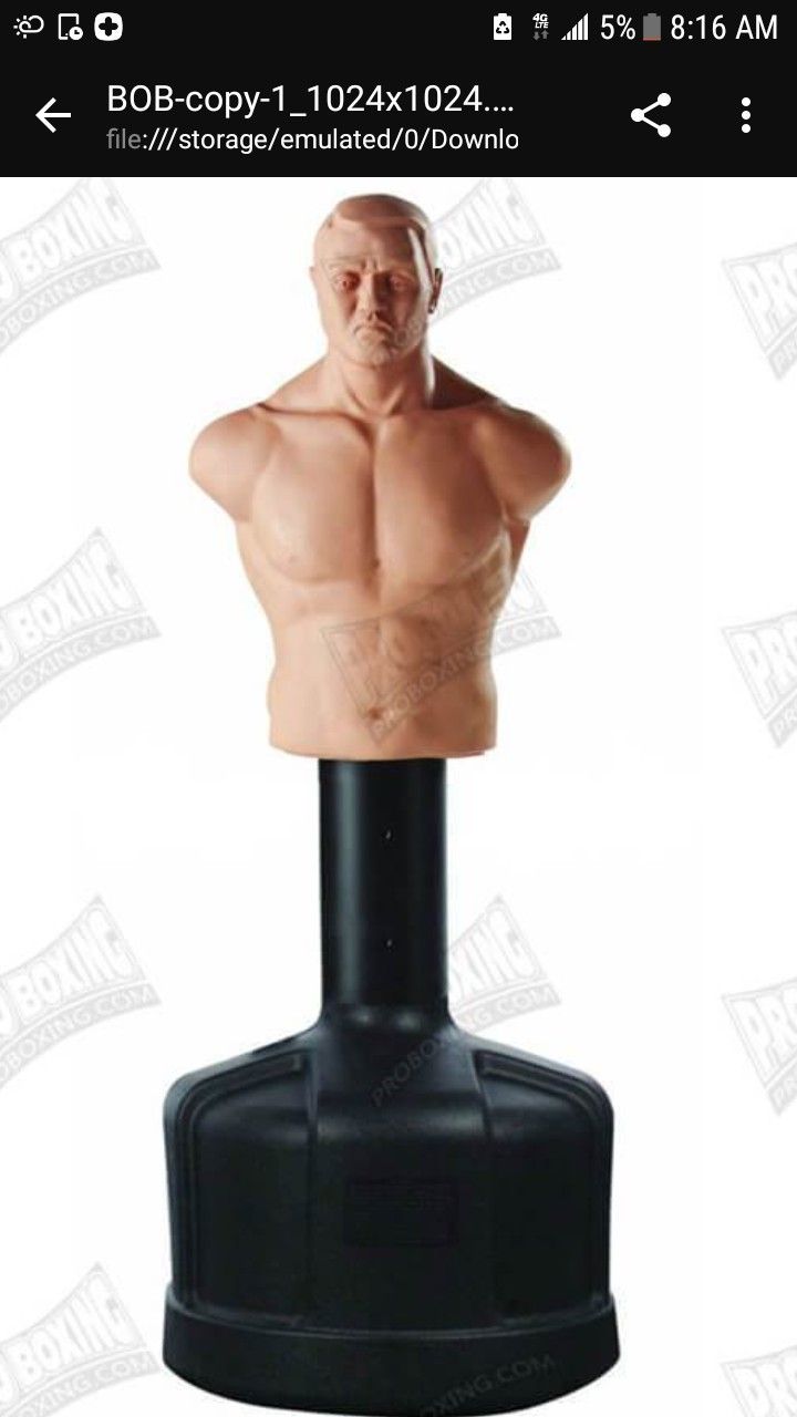 Bob Bully Punching Bag