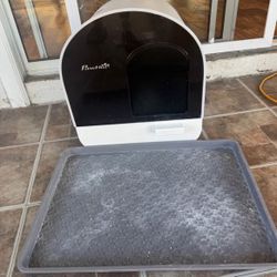 Cat Litter Box
