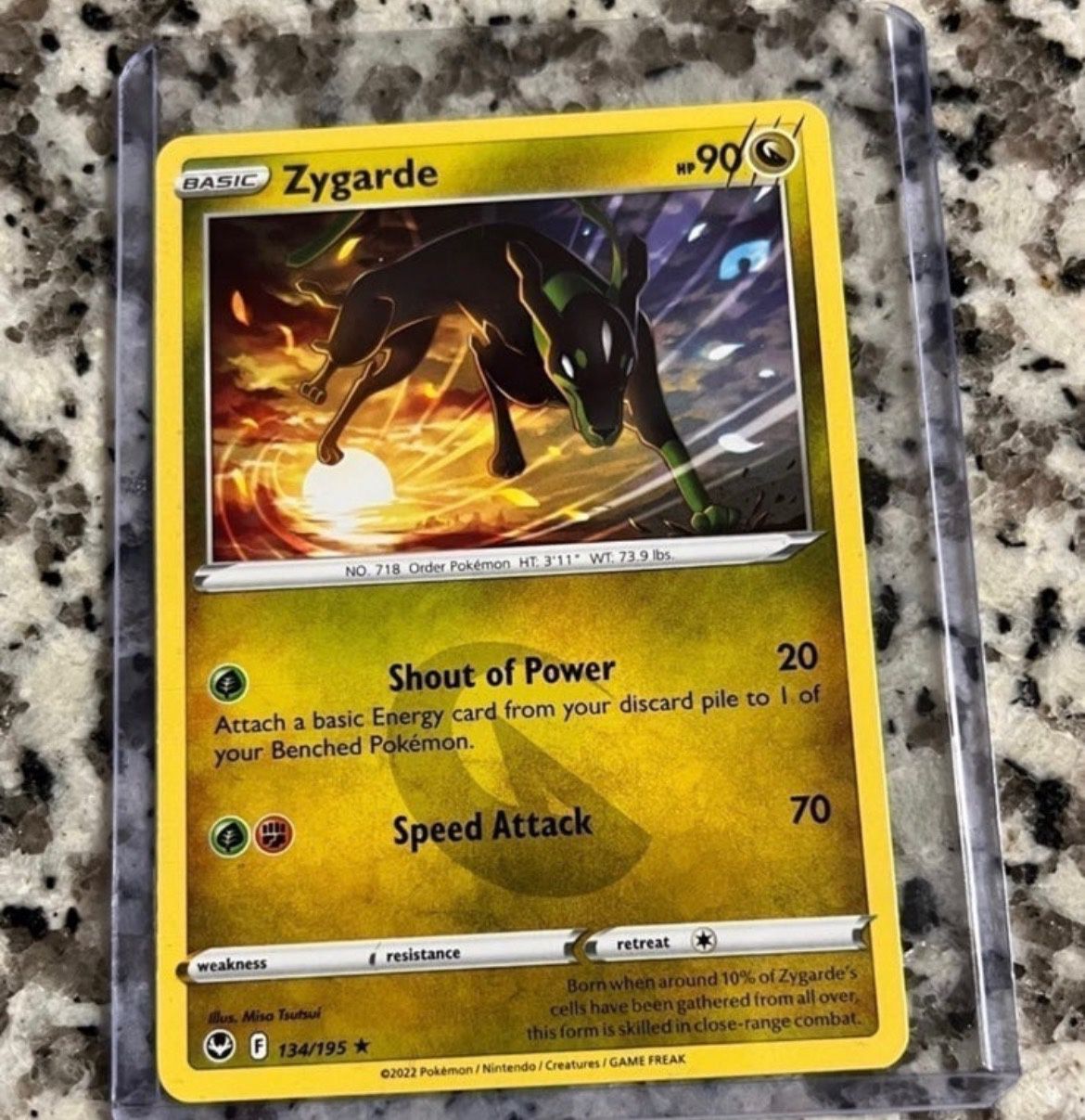 Pokémon TCG Zygarde Silver Tempest 134/195 Regular Rare
