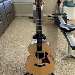 Taylor GS Mini