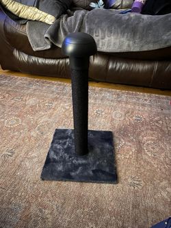 New, Never Used Cat Scratching Post W/ Laser 