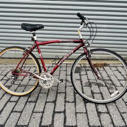 Specialized 20 Inch Bike 