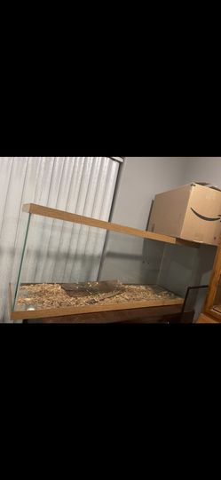 Fish Tank