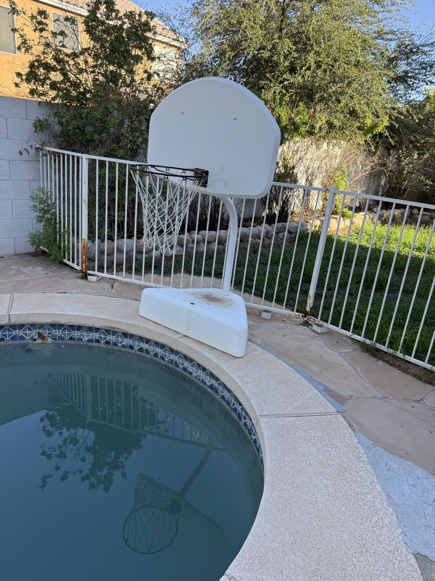Pool Basketball Hoop