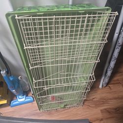 Guinea Pig Cage 