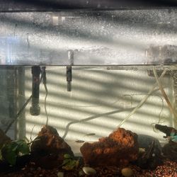 20 gallon fish tank