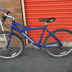 Lightweight 90s Cannondale Killer V 900 – Retro MTB