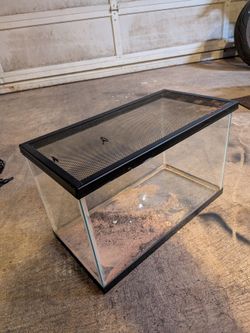 Aquarium with mesh lid