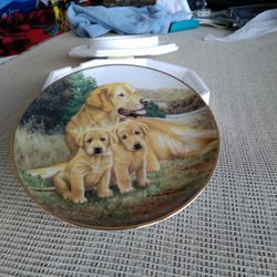 Franklin Mint Collector Plate 