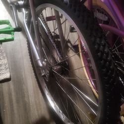 mongoose