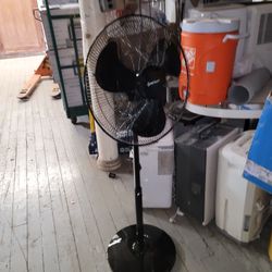Black Standing Fans $25 Each 