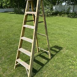 Werner Electro-Master 6' Step Ladder Model 6256