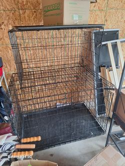 Bundle Dog Cages
