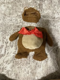 Teddy Bear Costume For Dogs