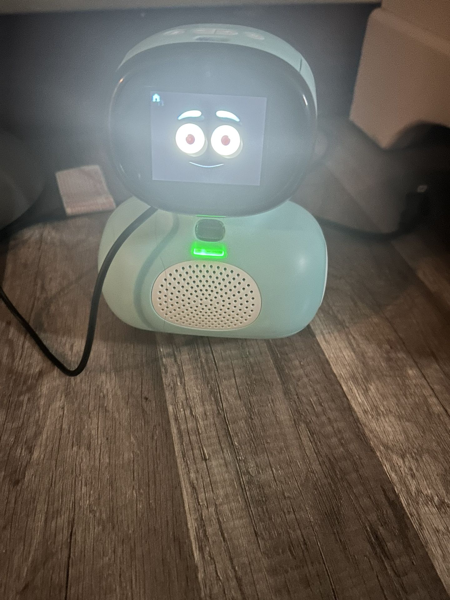 Miko Mini