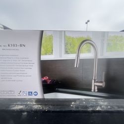 Single Handed Pull-Down Kitchen Faucet