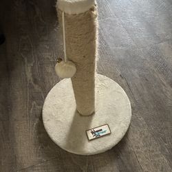 Cat Scratching Post 