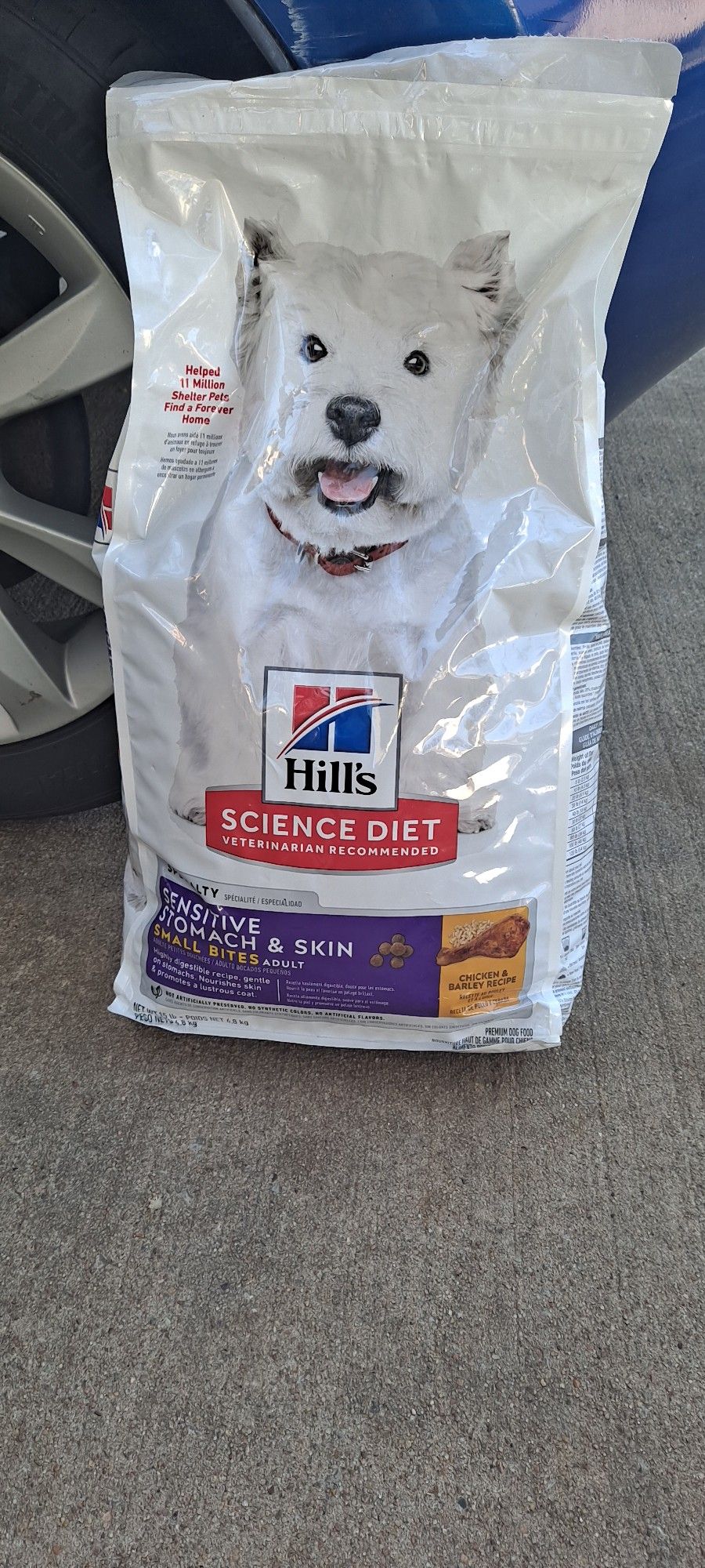 Dog Food