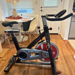 Sunny Indoor Cycling Bike — Great Condition — Adjustable Seat & Handlebars