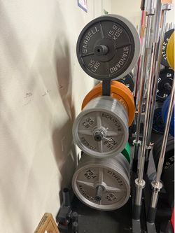 New Olympic Weights $1/lb