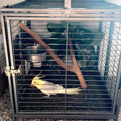 Bird Cage Carrier 