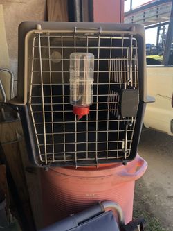 Pet cage