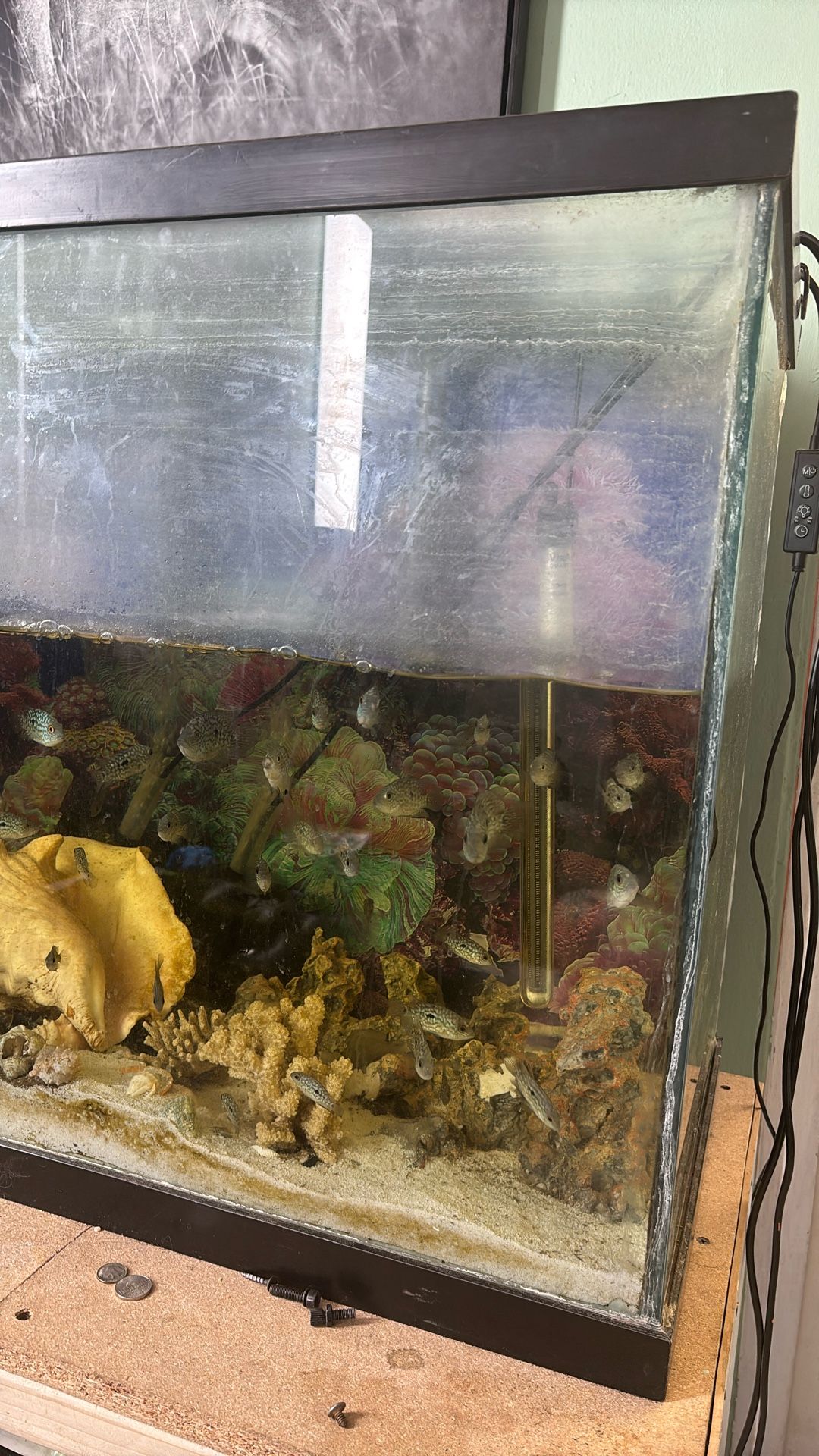 100 Gallon Fish Tank Glass 