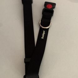 Black dog collar Beebiepet