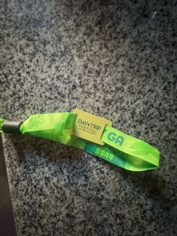 Daytrip festival 2day GA